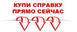 справка в Новосибирске